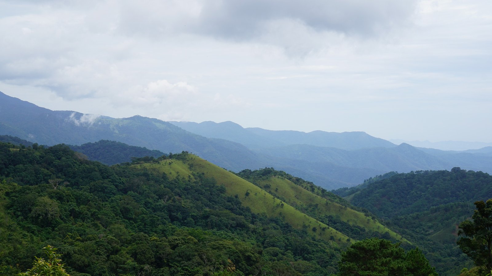 7 Days Hanoi - Hagiang - Hoang Su Phi Hiking Tour